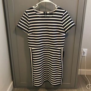 Express: Navy and white striped dress